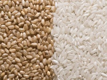 white rice vs brown rice nutrition